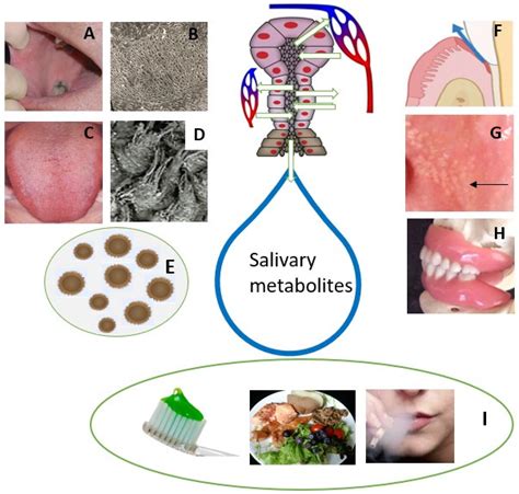 The Unexpected Significance of Experiencing a Vision Involving Another Individual's Saliva