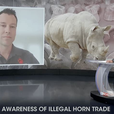 The Unicorns of Today: Conservation Efforts and the Illegal Horn Trade