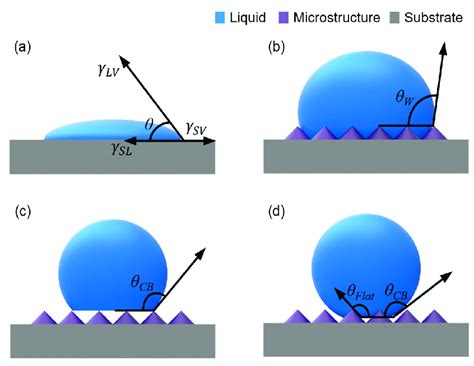 The Unusual Phenomenon of Fluid Emergence through Solid Surfaces