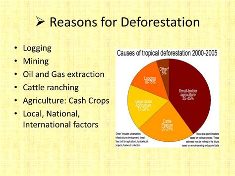 The Vanishing Act: Exploring the Causes of Deforestation