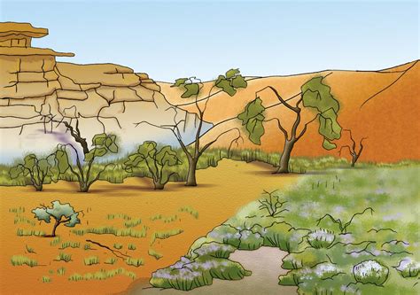 The Various Significances of Arid Foliage