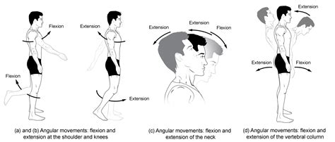 The Various Significances of Moving on Knees