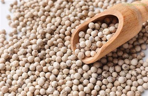 The Versatile Spice: Exploring the Culinary Applications and Health Benefits of White Pepper