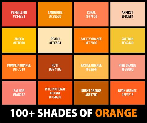 The Vibrant Hue of Orange