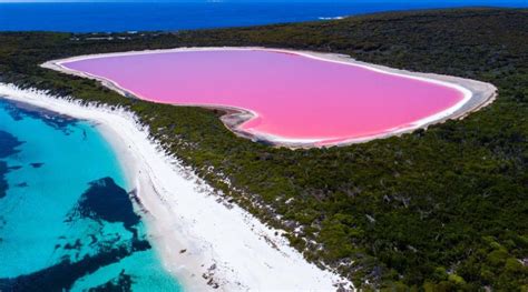 The Vibrant Scarlet Lakes: Exploring the World's Most Renowned Spots of Red-Colored Water