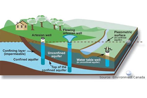 The Vital Role of Subterranean Aquifers in Sustaining Ecosystems