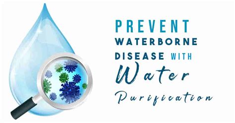 The Vital Role of Water Purification in Disease Prevention