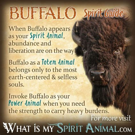 The White Buffalo: A Symbol of Hope and Healing