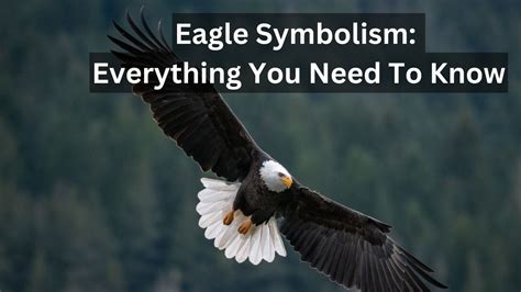 The White Eagle as a Messenger: Exploring the Bird's Symbolism in Various Cultures