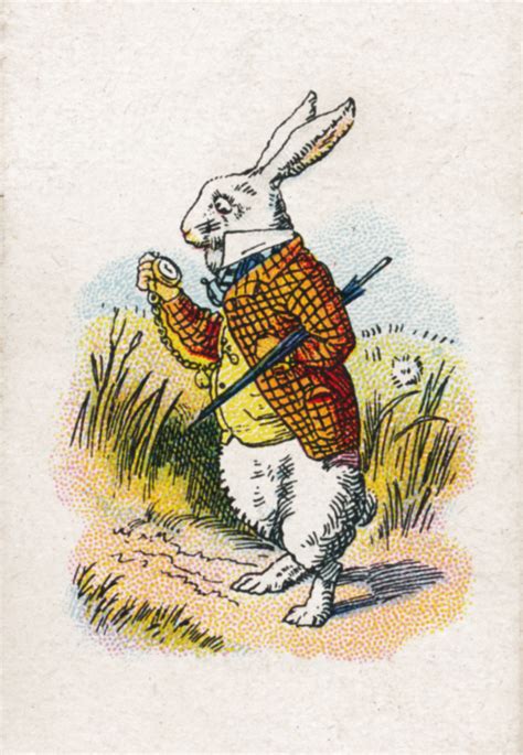 The White Rabbit in Popular Culture