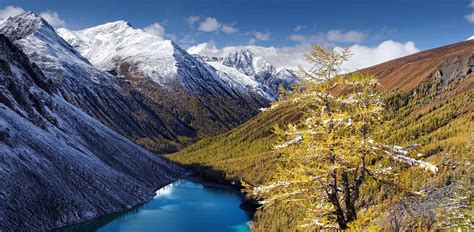 The Wilderness of Siberia: Untamed Beauty and Breathtaking Landscapes