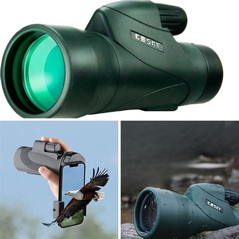 The Wonders of Monocular Sight