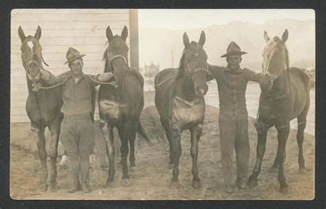 The Wounded Horse as a Reflection of Personal Struggles and Trauma