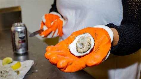 The art of shucking oysters: Master the technique and impress your guests