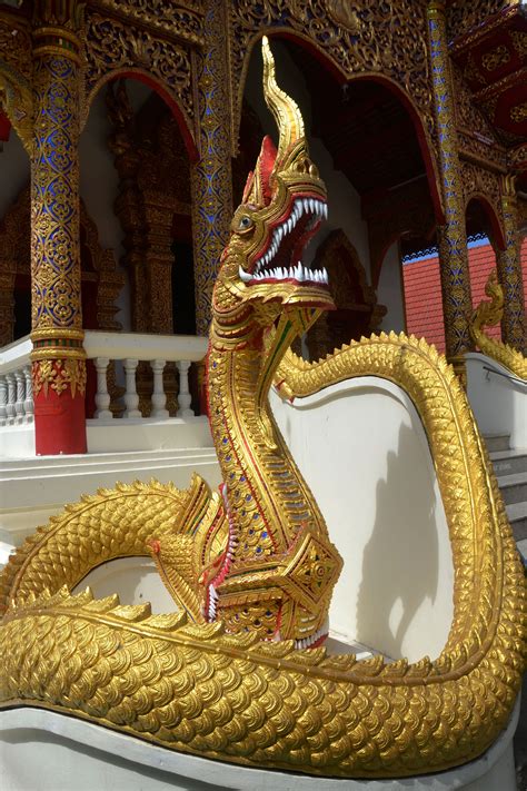 The significance of serpents in the culture of China