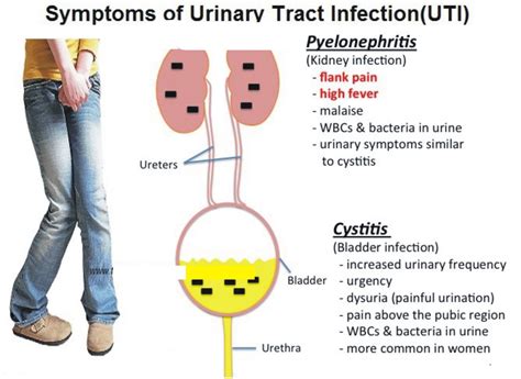 The significance of urination: A sign of release and letting go