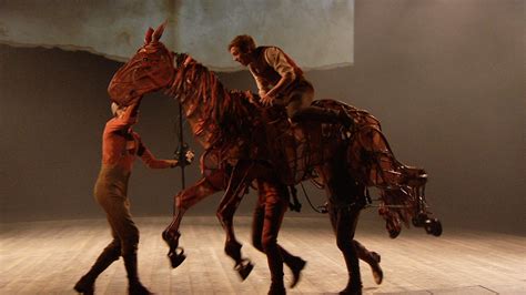 Theatre Horse Breeds: The Power Behind the Performance