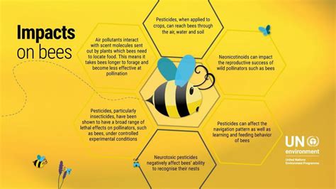 Threats to Bees and the Significance of Conservation Efforts