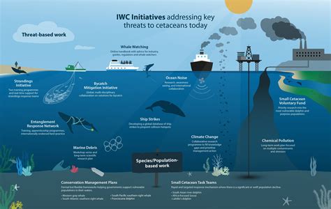 Threats to the Survival of Majestic Ocean Creatures: Conservation Challenges