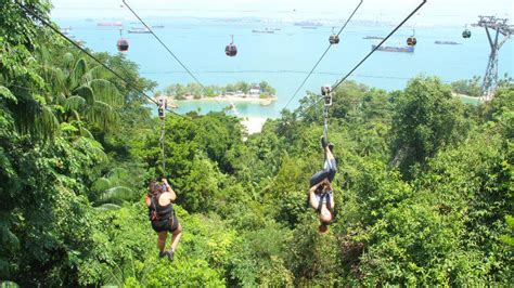 Thrill Seekers Delight: Heart-Pounding Experiences Along the Vibrant Path