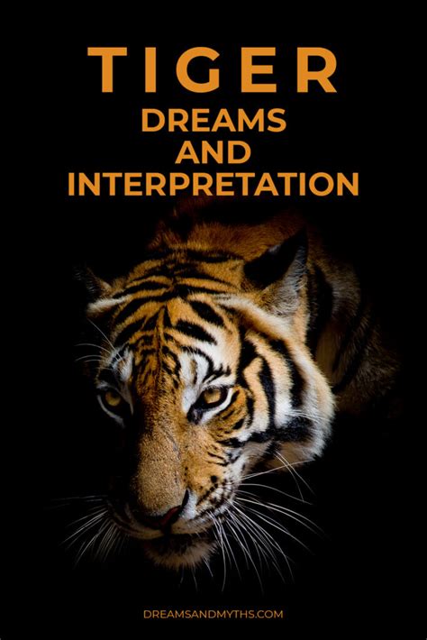 Tiger Dreams and Personal Transformation