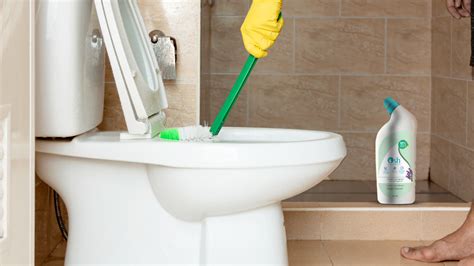 Tips and Techniques for Decoding Dreams featuring a Toilet Cleaning Utensil