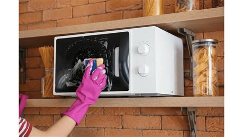 Tips and Tricks for Maintaining and Cleaning Your Trusty Microwave