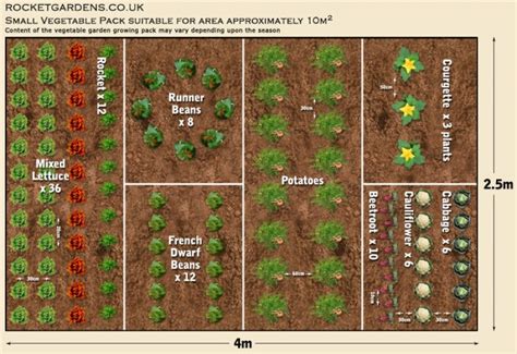 Tips and Tricks for Year-Round Vegetable Planting in Your Ideal Garden