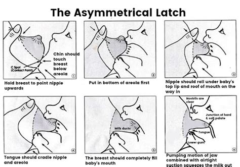 Tips for Achieving a Successful Latch and Optimal Positioning