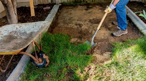 Tips for Analyzing and Understanding Dreams Involving Grass Removal