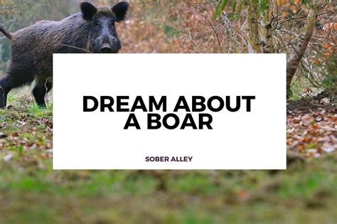 Tips for Coping with the Emotional Impact of a Savage Boar Encounter Dream