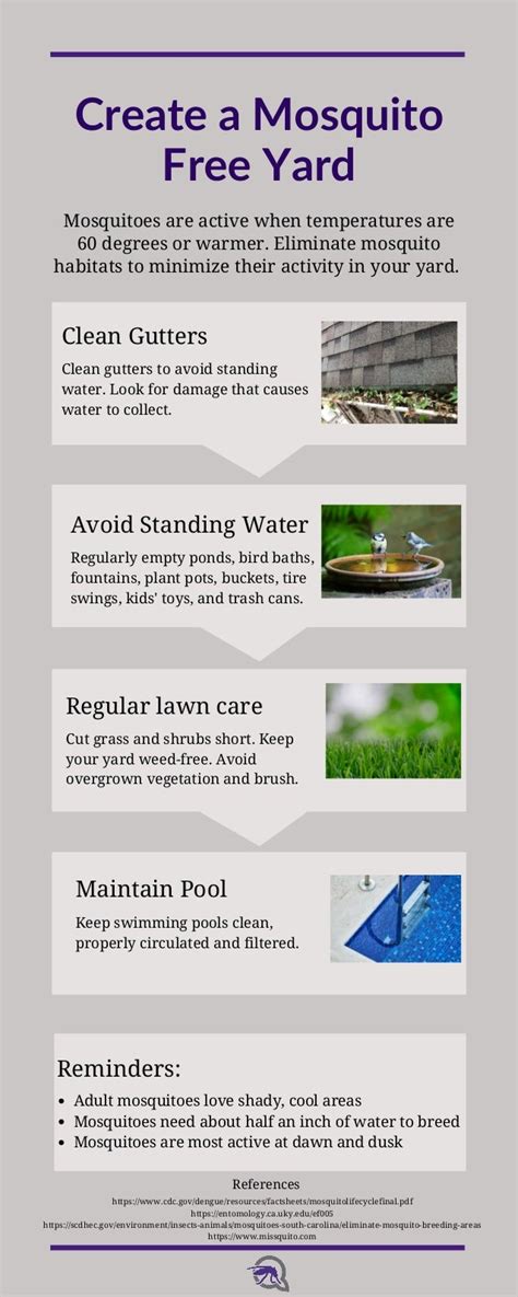 Tips for Creating a Mosquito-Free Environment