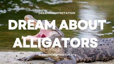 Tips for Decoding and Analyzing Crocodile Vision Dreams