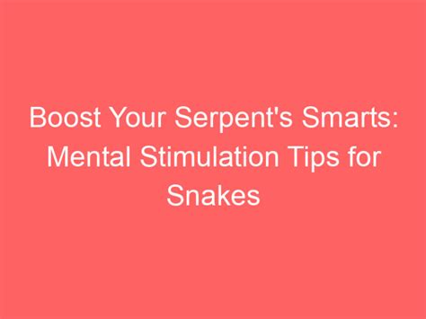 Tips for Decoding and Comprehending Your Serpent-filled Morning Vision