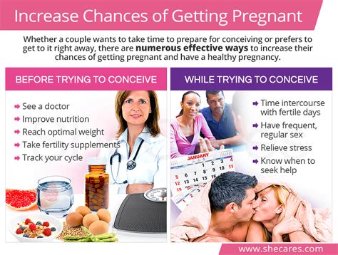 Tips for Enhancing Fertility and Increasing Your Chances of Conceiving