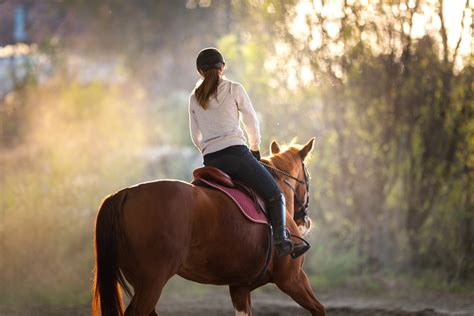 Tips for Exploring and Harnessing the Power of Dreams about Riding Brown Horses