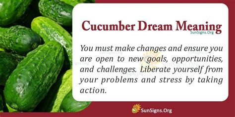 Tips for Gaining Insight and Reflecting on the Personal Importance of Cucumber Dream Interpretation