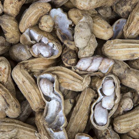 Tips for Interpretation: Understanding the Significance of Peanut Shells in Your Dreams