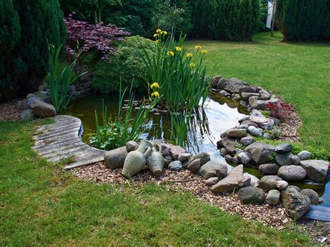 Tips for Planning Your Koi Pond