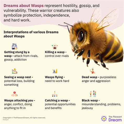 Tips for Recalling and Documenting Your Wasp and Bee Dream Experiences