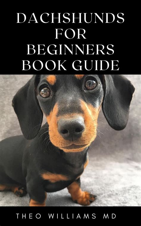 Tips for Selecting and Caring for a Dachshund