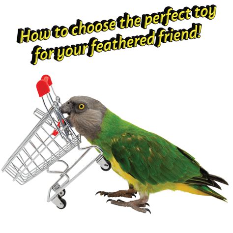 Tips for Selecting the Perfect Placement for Your Wise Feathered Friend Ink