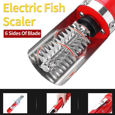 Tips for Simple Maintenance and Cleaning of Fish Scaling Tools