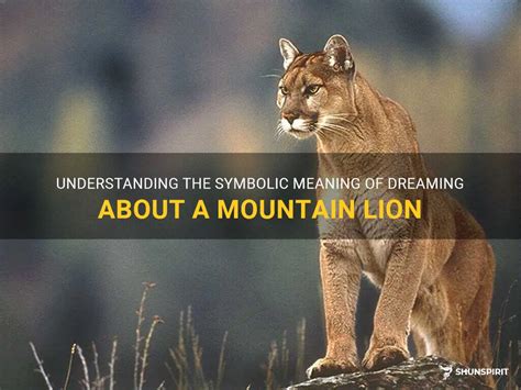 Tips for Understanding and Reacting to Dreams Involving Mountain Lions