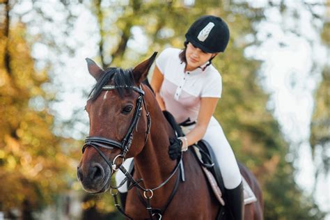 Tips for a Safe and Enjoyable Aquatic Equestrian Experience