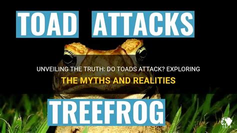 Toad Attacks in Mythology and Folklore: What Can We Learn?