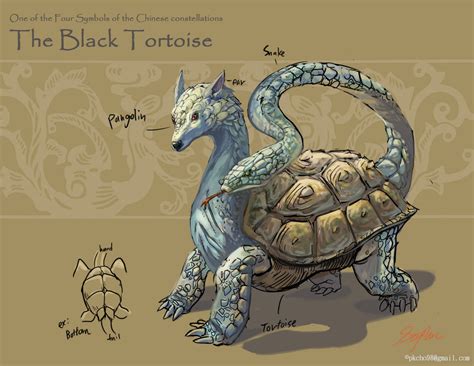 Tortoise Symbolism in Mythology and Folklore