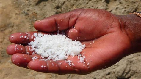 Tracing the Historical Significance of White Salt in Human Civilization