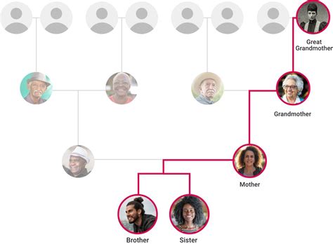 Tracing the Origins: Unraveling the Maternal Ancestry