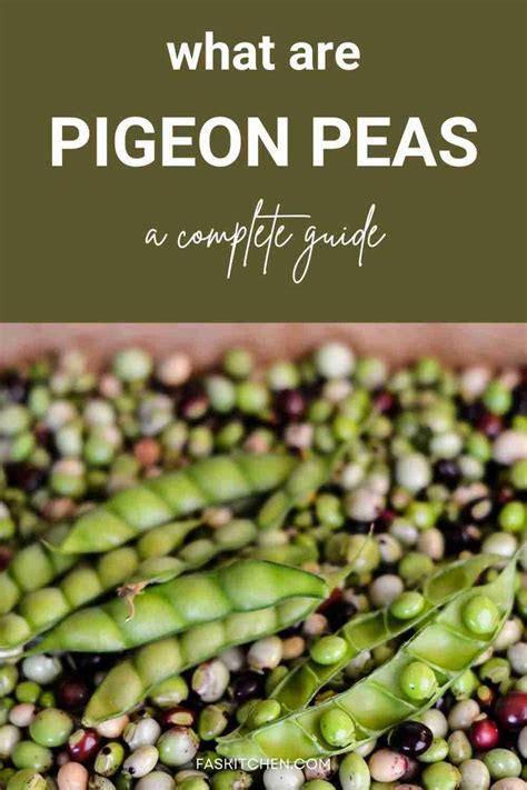 Traditional and Modern Recipes Showcasing the Versatility of Pigeon Peas